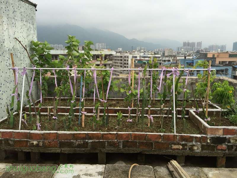 151459n5bhq9titpynluar.jpg