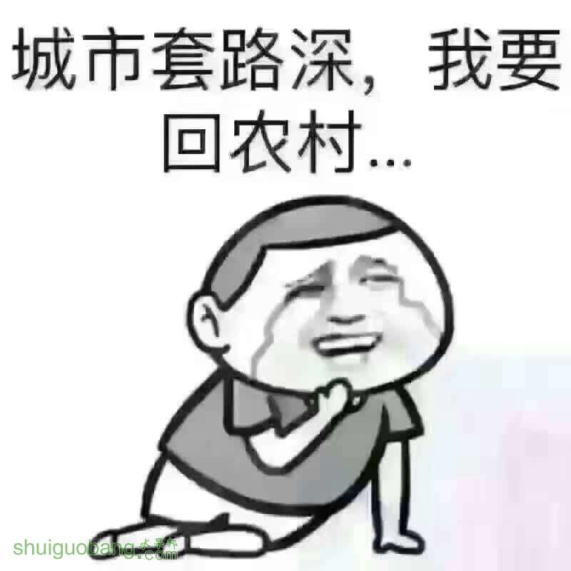 175532fbh155t9es5909hb.jpg