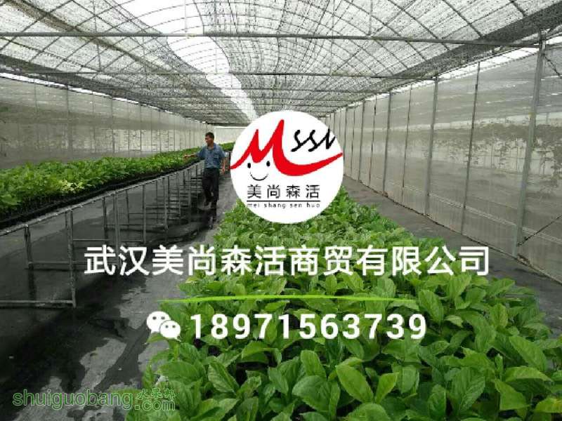 231652oj88g181t8rvwt0t.jpg