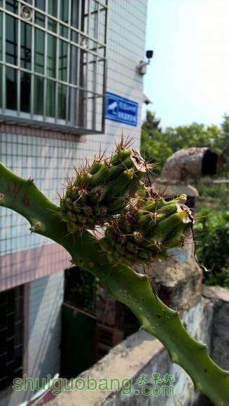 WP_20160731_10_45_59_Pro.jpg