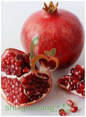 144303gm7t3t0rtutt370t.jpg