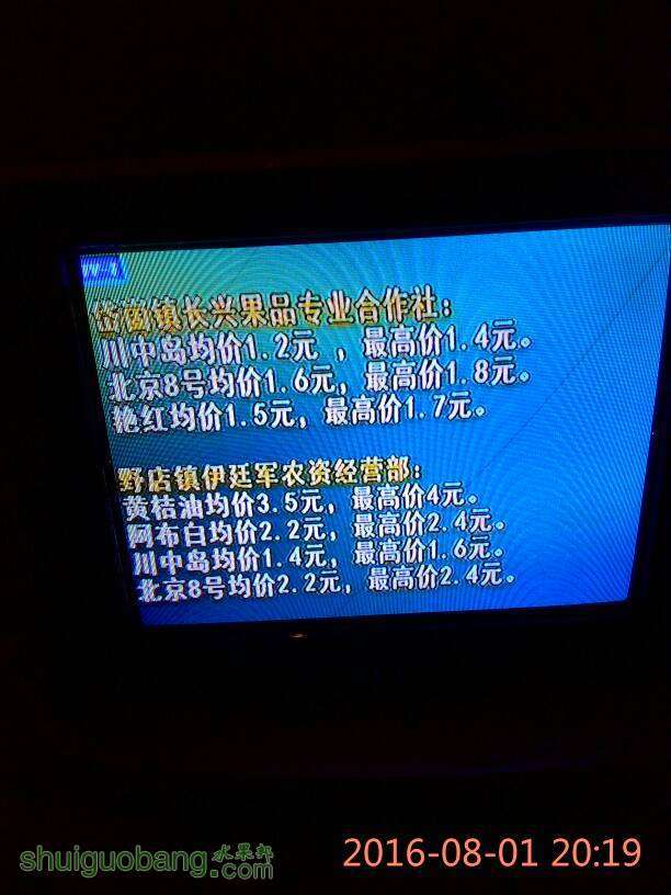 202409ee52v4seemoe5bjm.jpg