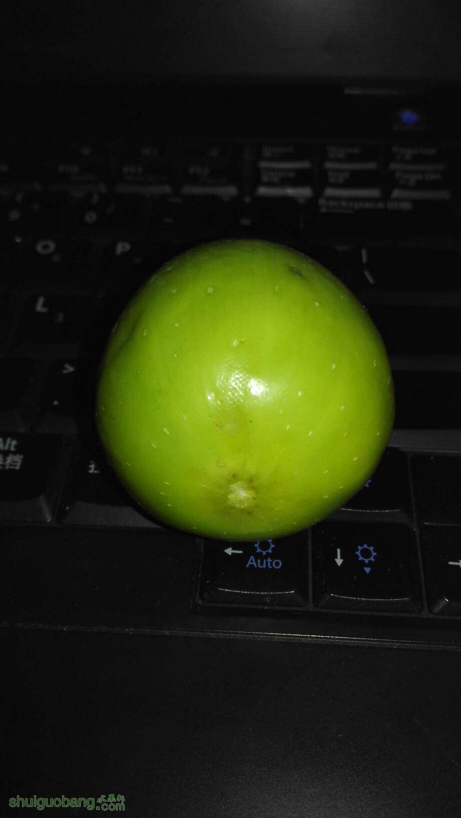 215418zaeci1i54e0x0gkd.jpg