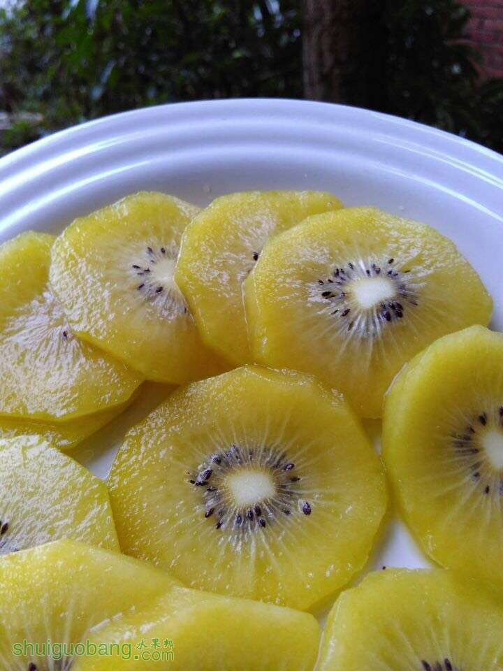 000820h8pjtfzza1jn47tj.jpg