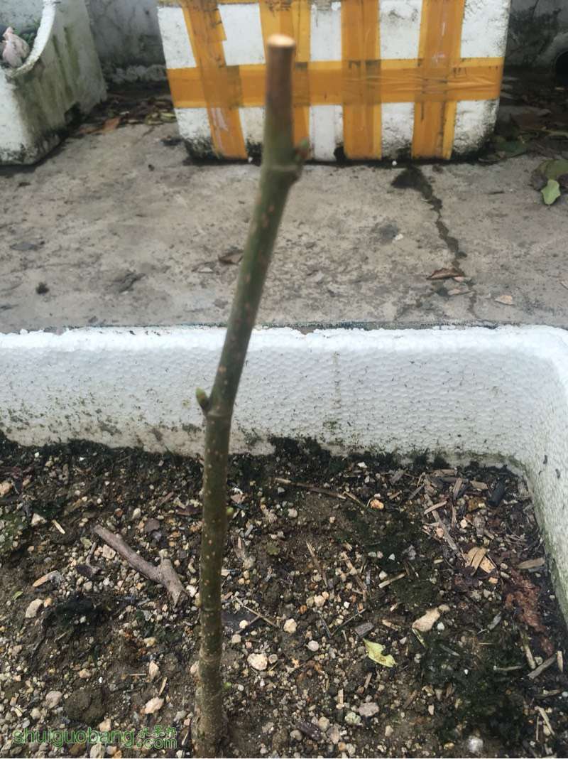 122838kg2nn54omoc4vkzg.jpg