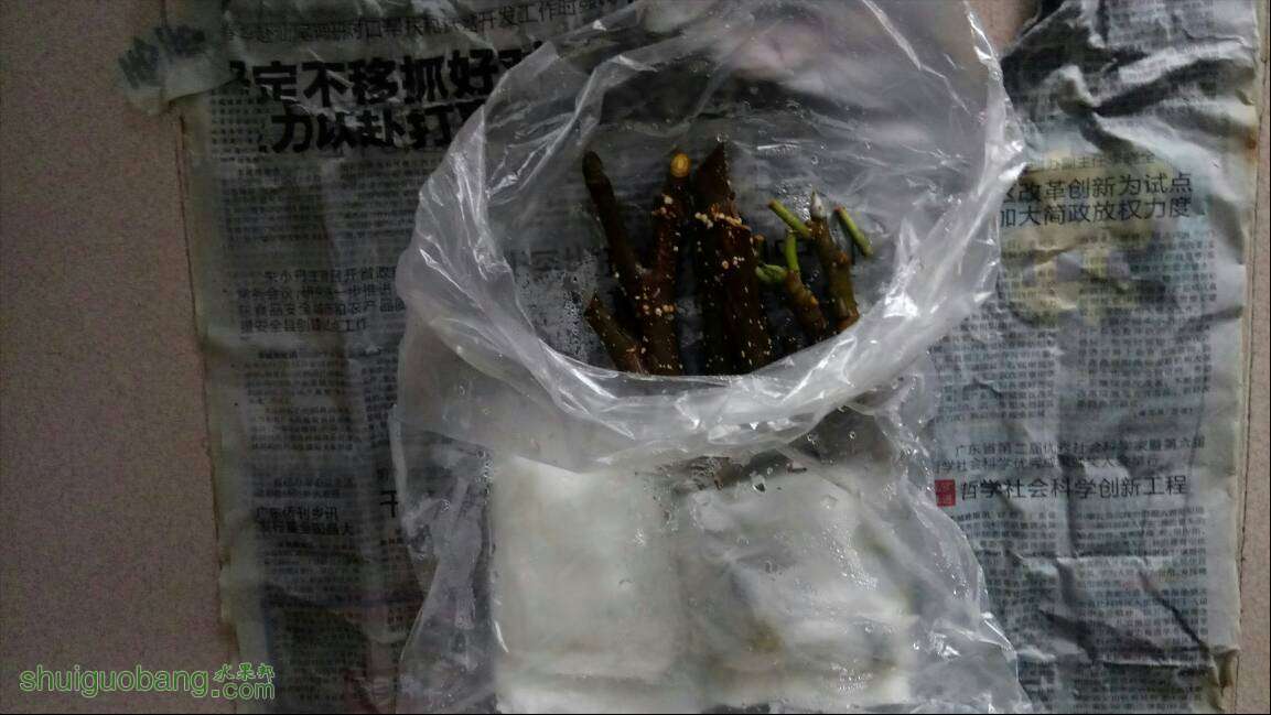 125814kam5re5yggasrko7.jpg