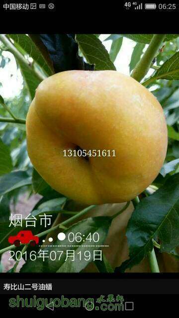 135119zi8gtg5nr8dinmgh.jpg