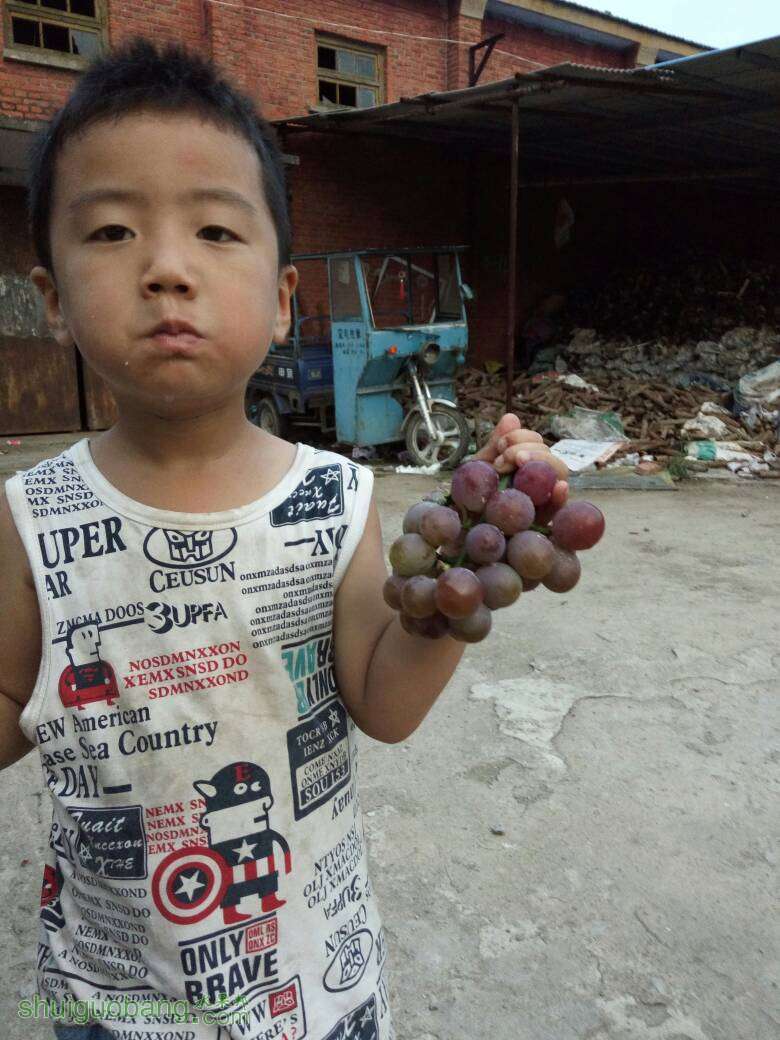 191225t17kinknu31rnup7.jpg