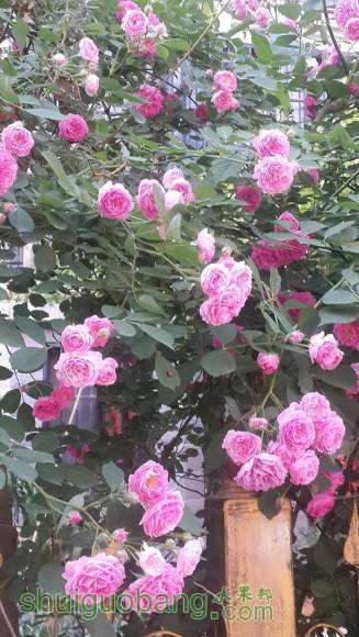 20160504_174821.jpg