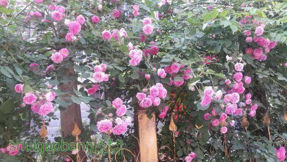 20160504_174831.jpg