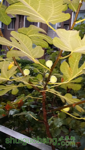 20160807_191140.jpg