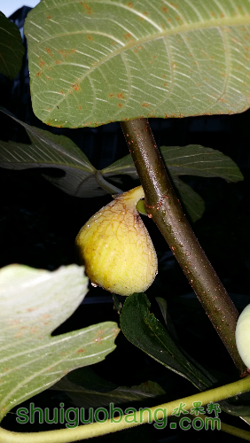 20160807_191154.jpg