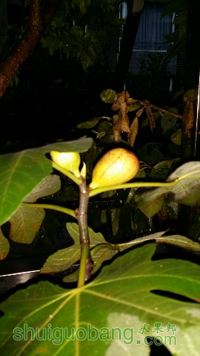 20160807_192051.jpg
