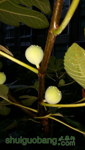 20160807_191147.jpg