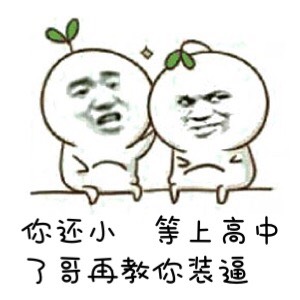 193226c8o33fh3fb2f466z.jpg