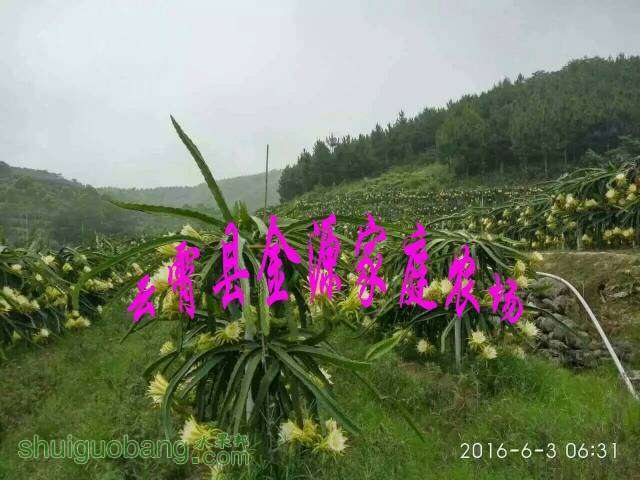 112339jkx1xdacja1nhxhk.jpeg