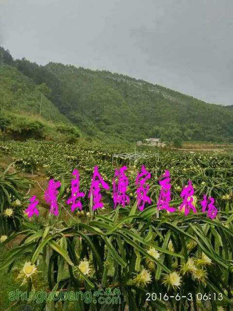 112712y5xeh3q9zn9uvmns.jpeg