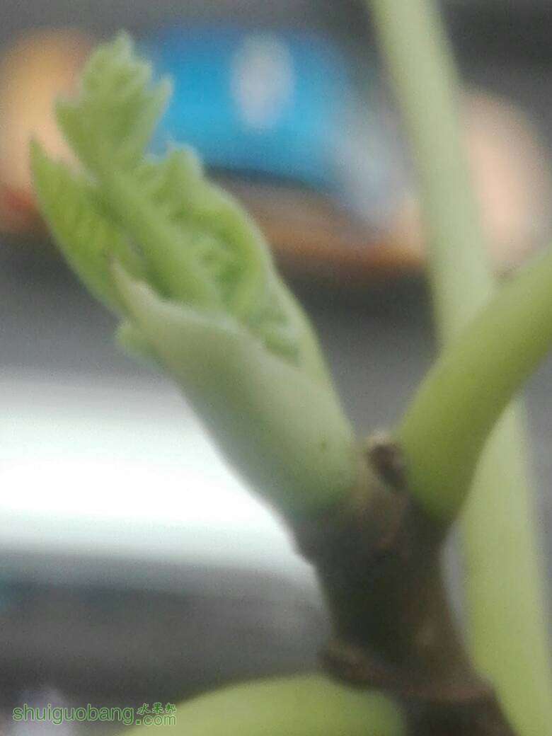 080410s10tw4wt0w4ky0h0.jpg
