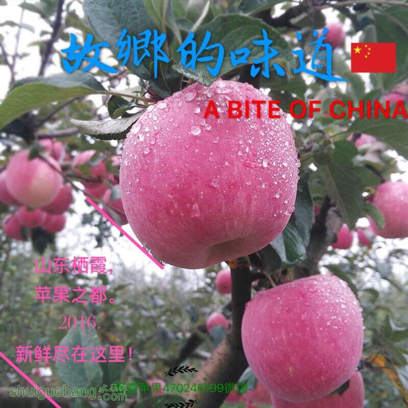 121912hlhvjv3rhozkkm33.jpg