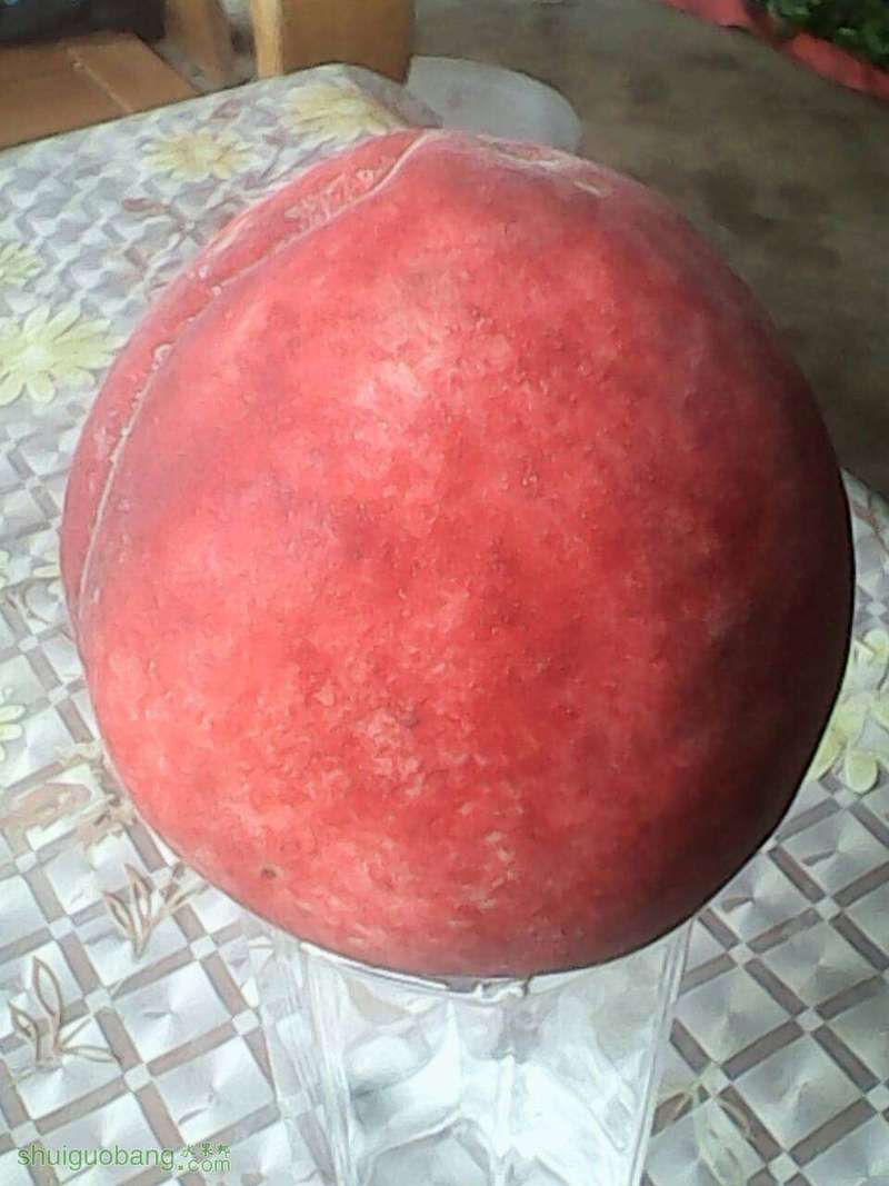 134311lshs6yc53uuhbcz3.jpg