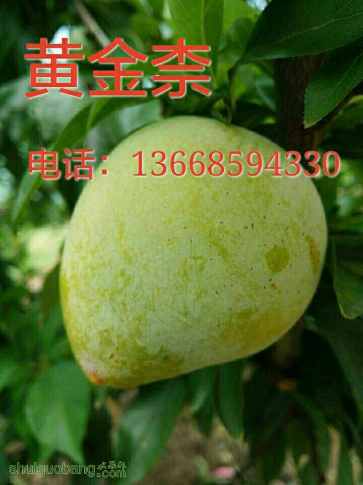 212633abjm8fyhzsmsj6rb.jpg