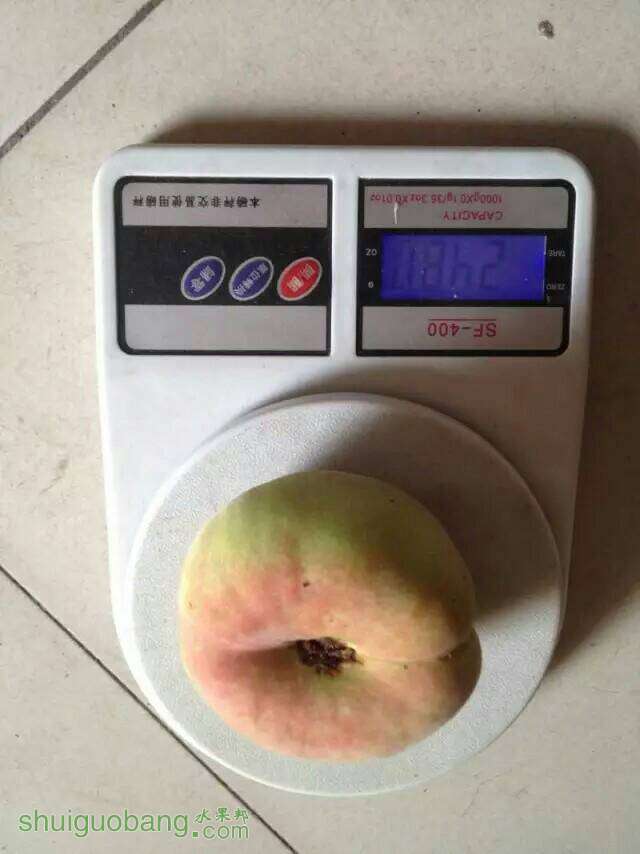 084543o1jeultcwwtl0uqq.jpeg
