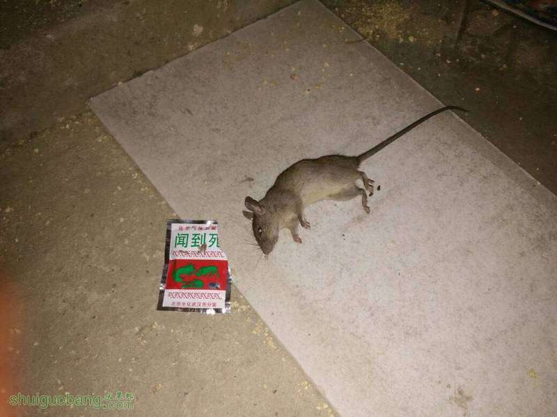 092828xqyullnojaiwy0ff.jpg