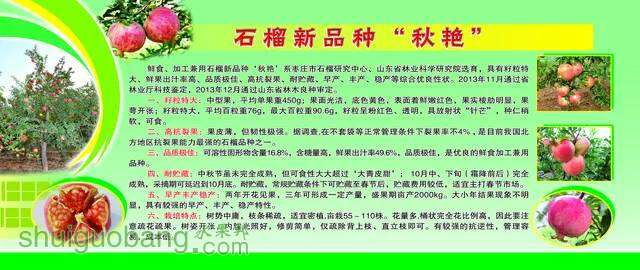 185711n7g7p44cdg84or71.jpg