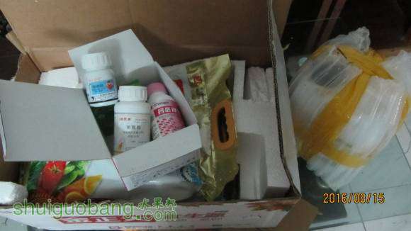 ���� 001.jpg