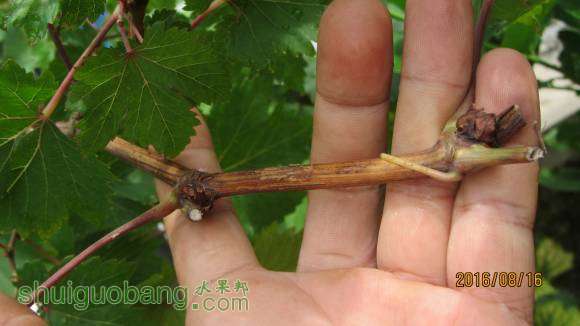 ���� 002.jpg