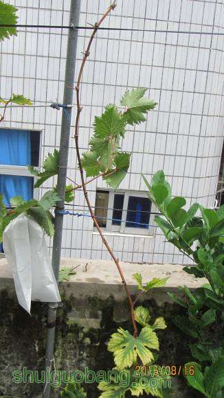 ���� 003.jpg