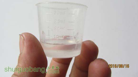 ���� 011.jpg