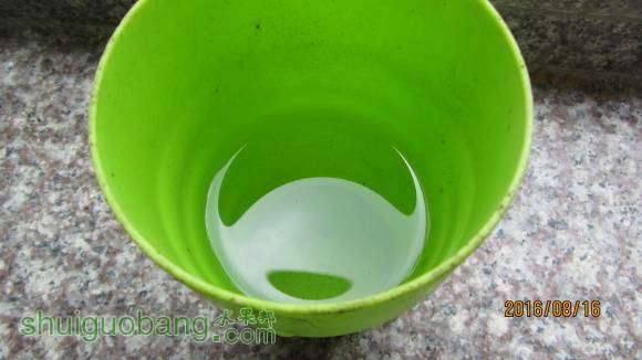 ���� 012.jpg