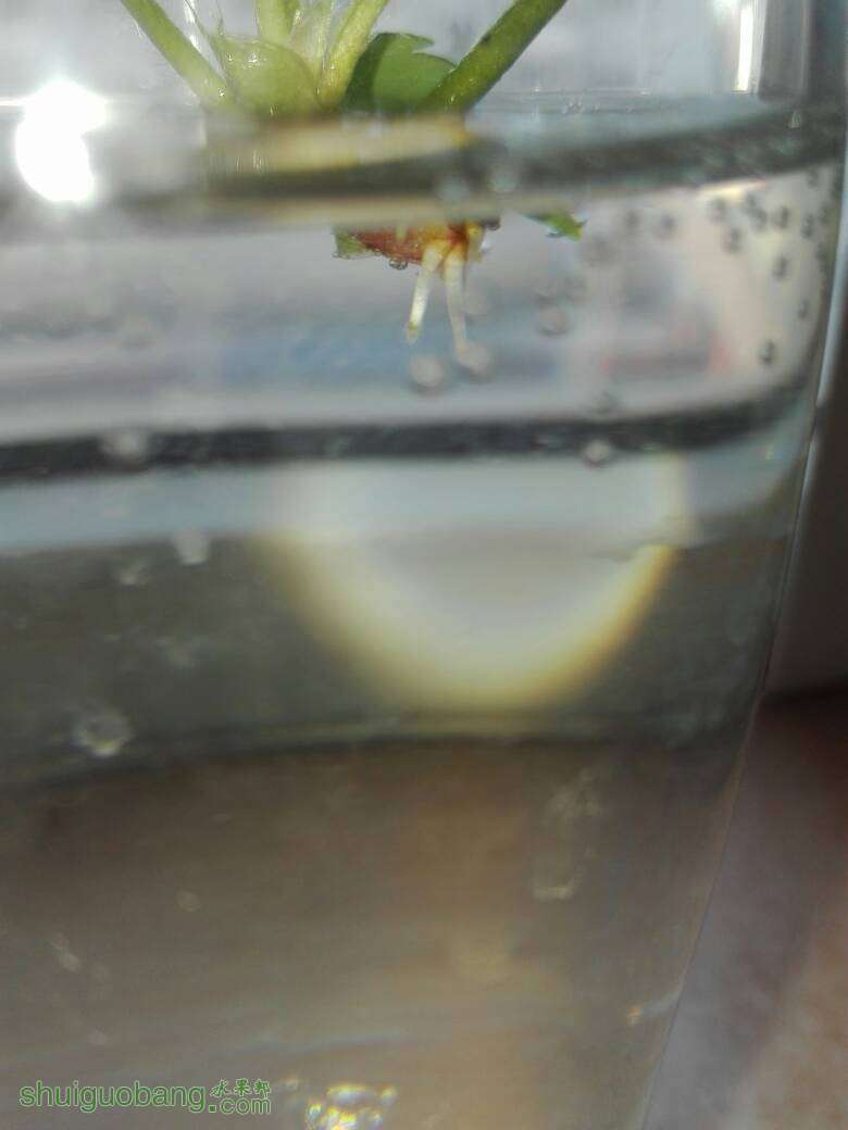 080345blyhsiqhaajypanl.jpg