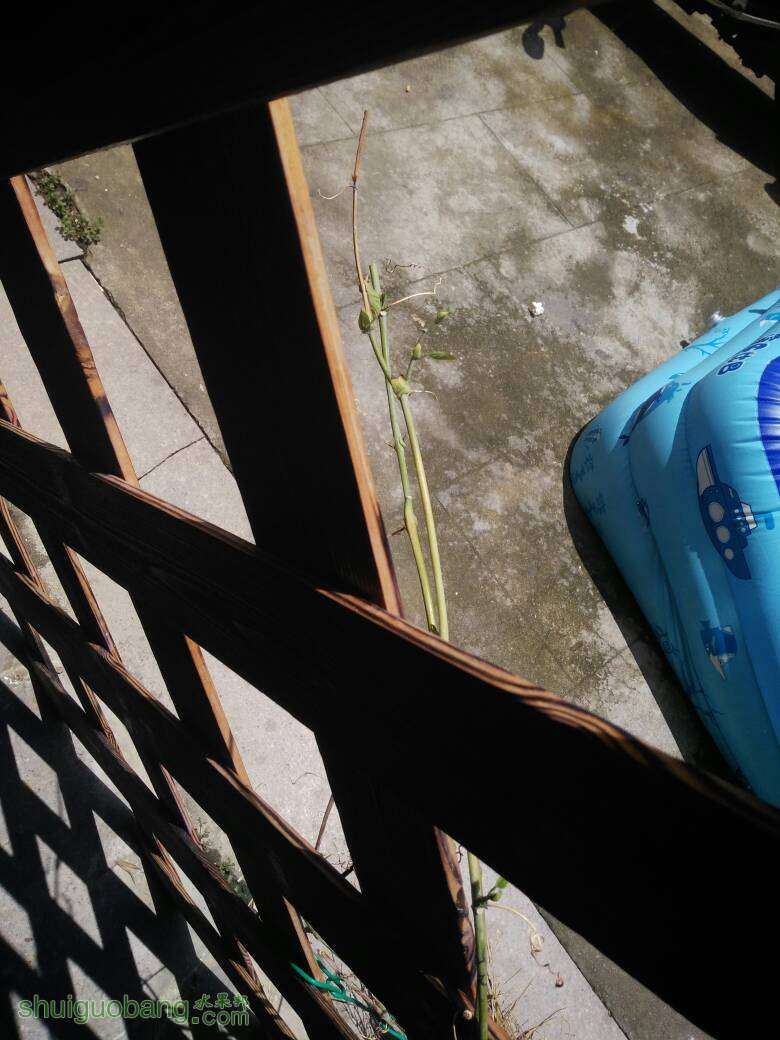 123057l93hbw9hc8wtbbcb.jpg