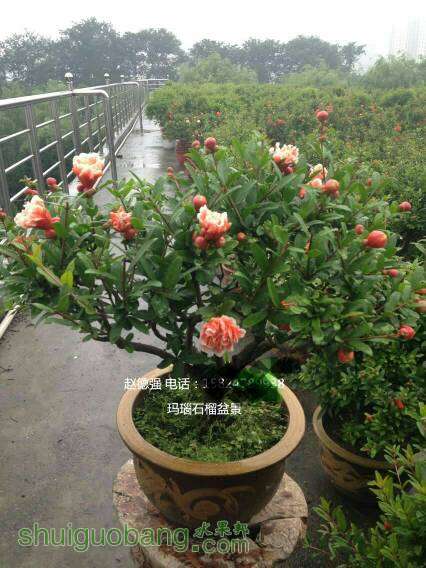 200237ueebj6q6606tk89u.jpg