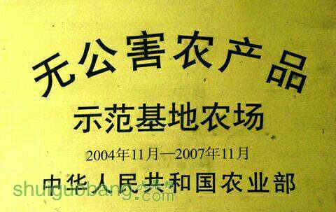 225602xc47g7n1c1nnwucq.jpg