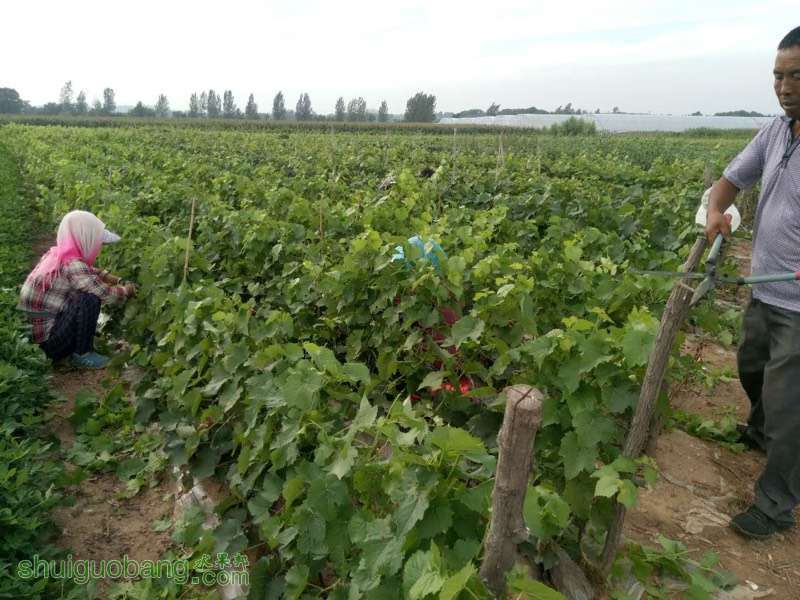 120142zlqhuiq1hqo077y7.jpg