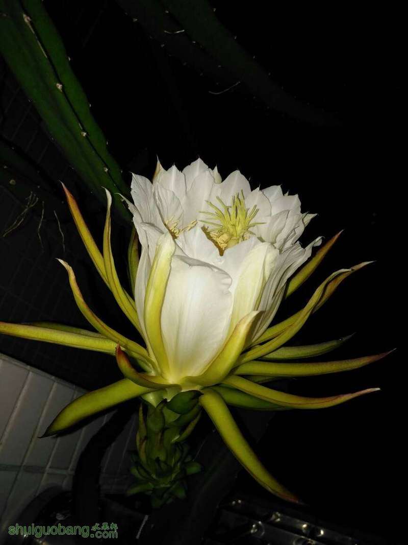 222511j99z0m0iimkzmzs0.jpg