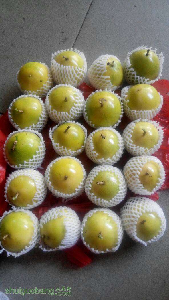 014721ek68cakbo8kaqk0s.jpg