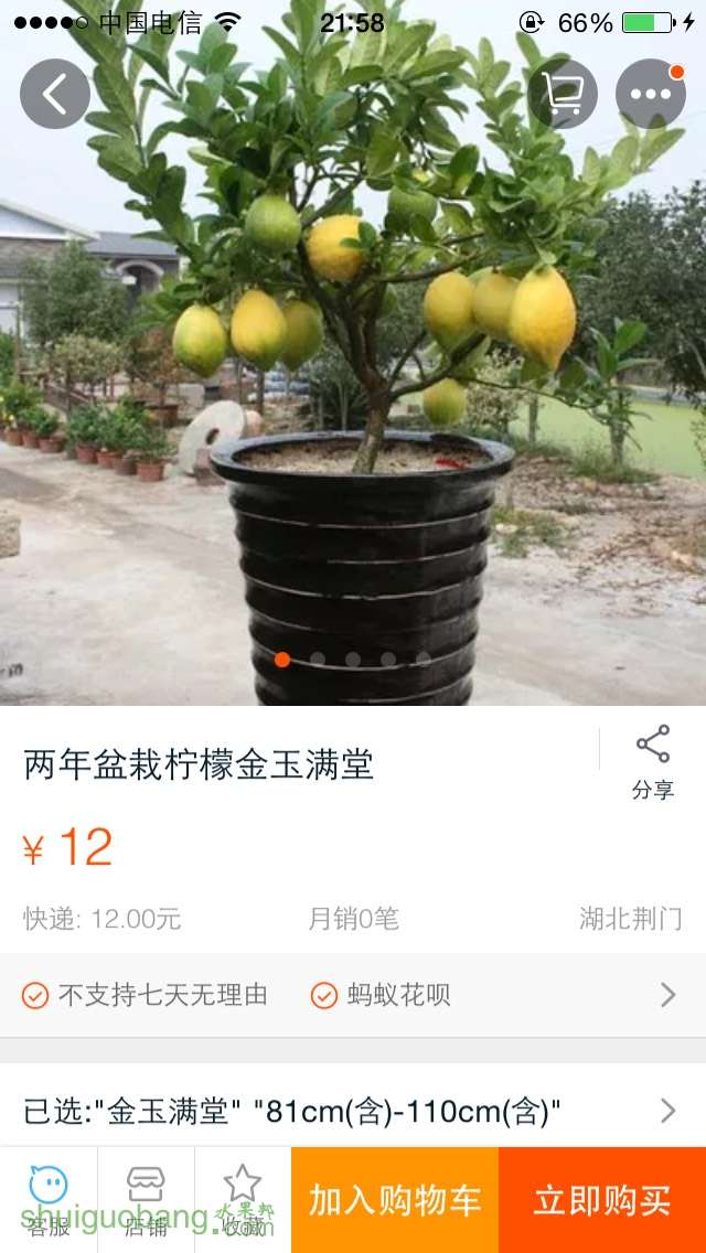 215917kvxgt73ihtvrr3bo.jpg