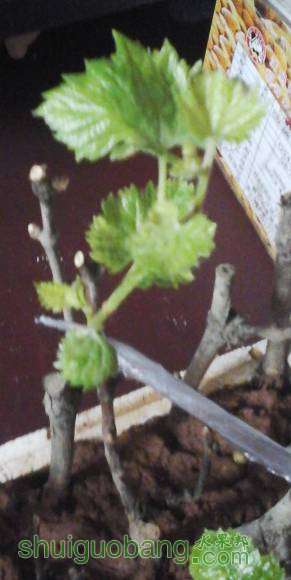 20160822_095249.jpg