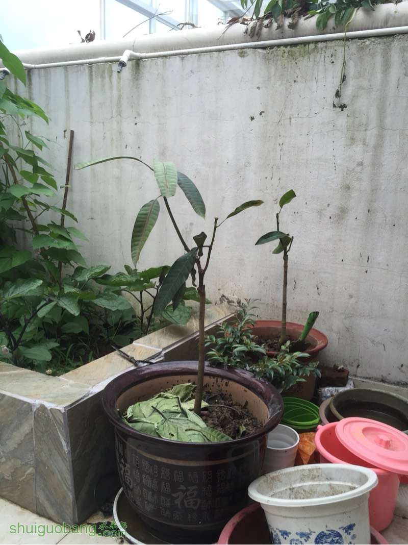 210527qq7t5tt7mbtpk5n0.jpg