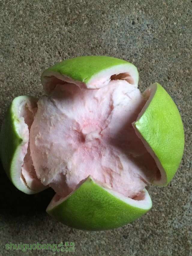 063700rwjbpkkqjohv6p6o.jpg