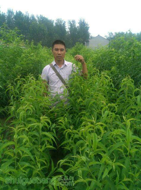 070005ryly9siguh22cn2g.jpg