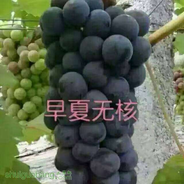 063059mbffknhnpzyyhtnp.jpg