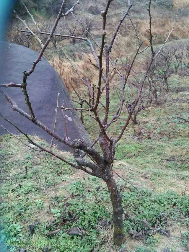 105333egkyakc8ak5kk4l9.jpg