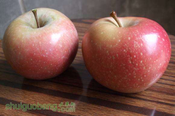 8��24������˹ 009.jpg