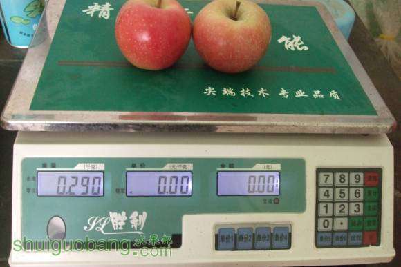 8��24������˹ 014.jpg