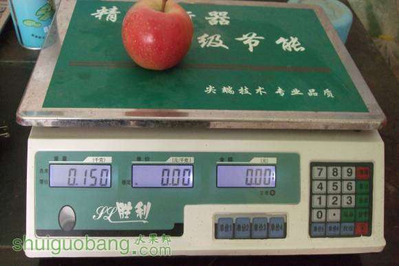 8��24������˹ 015.jpg